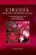 Cirugía urológica de mínimo acceso