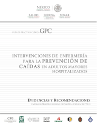 Image of Intervenciones de enfermería para la prevención de caidas en adultos mayores hospitalizados : Evidencias y recomendaciones