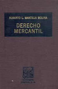 Image of Derecho mercantil : introducción y conceptos fundamentales sociedades